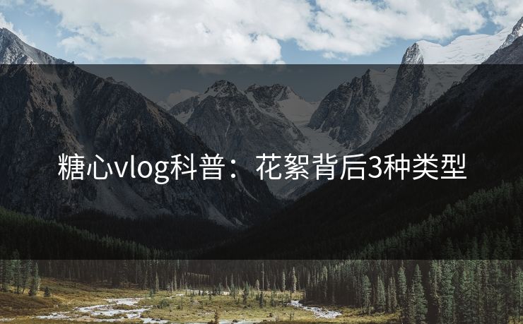 糖心vlog科普:花絮背后3种类型 糖心vlog科普:花絮背后3种类型