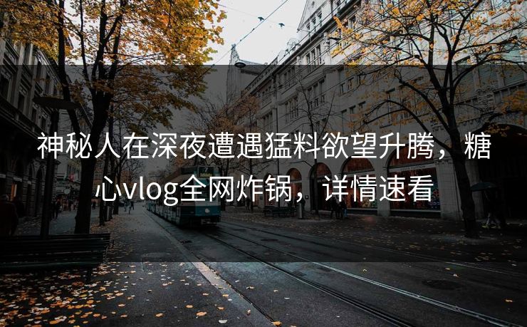 神秘人在深夜遭遇猛料欲望升腾,糖心vlog全网炸锅,详情速看 神秘人在深夜遭遇猛料欲望升腾,糖心vlog全网炸锅,详情速看