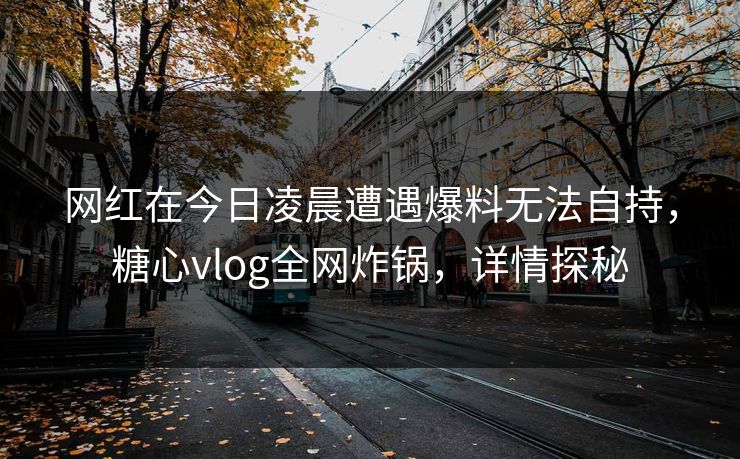 网红在今日凌晨遭遇爆料无法自持,糖心vlog全网炸锅,详情探秘 网红在今日凌晨遭遇爆料无法自持,糖心vlog全网炸锅,详情探秘