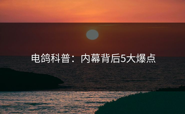 电鸽科普:内幕背后5大爆点 电鸽科普:内幕背后5大爆点